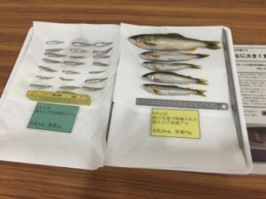 20150821-10